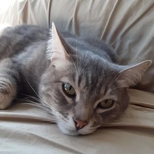 Meet your Posher, Amy